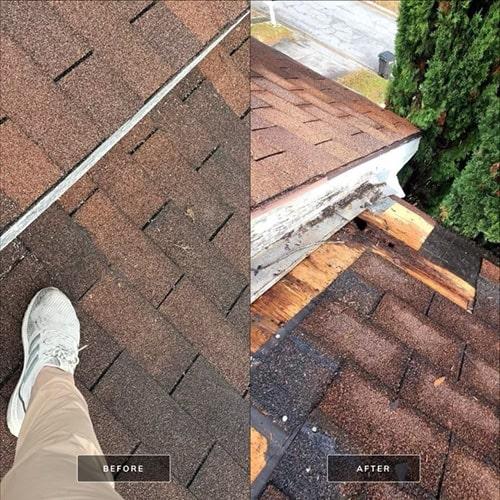 Shingle Roofing Damage Example