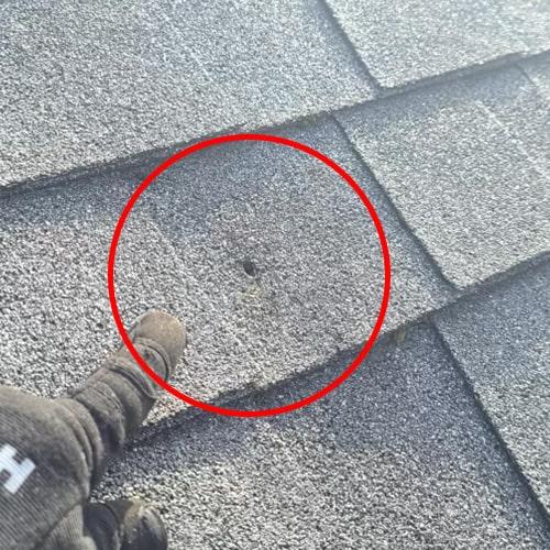 Shingle Roofing Damage Example